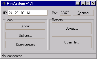 MiniAsylum 1.1