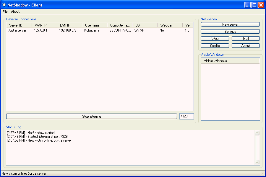 NetShadow 1.0 Beta