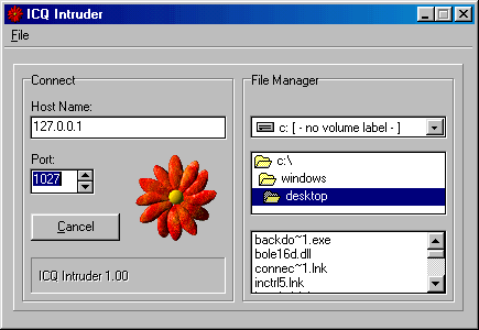 ICQ Intruder 1.00 v1